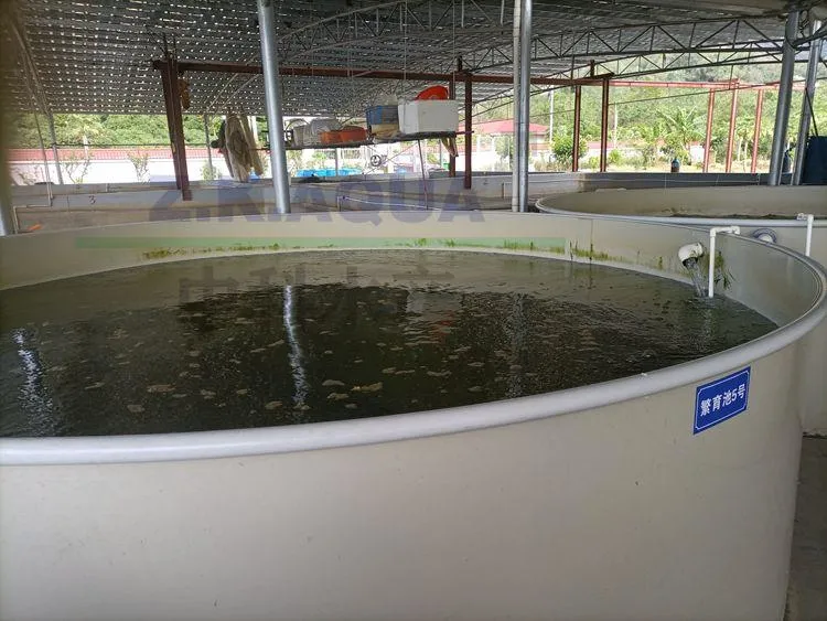 Ras Fishery Equipment Fish Rearing Commercial Fish Farm System