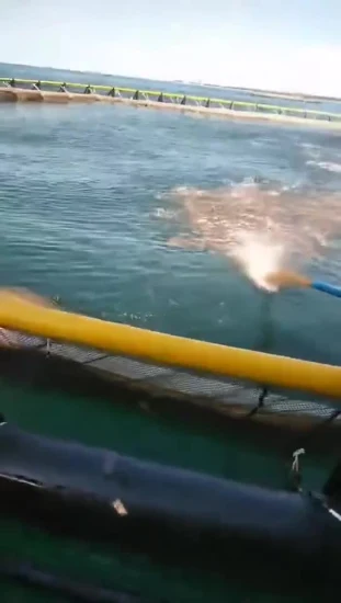 Sistema de jaula flotante resistente a tormentas de aguas profundas para la pesca